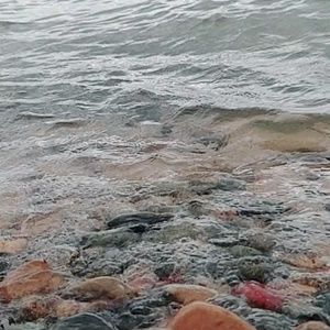 Meet your Posher, Suha